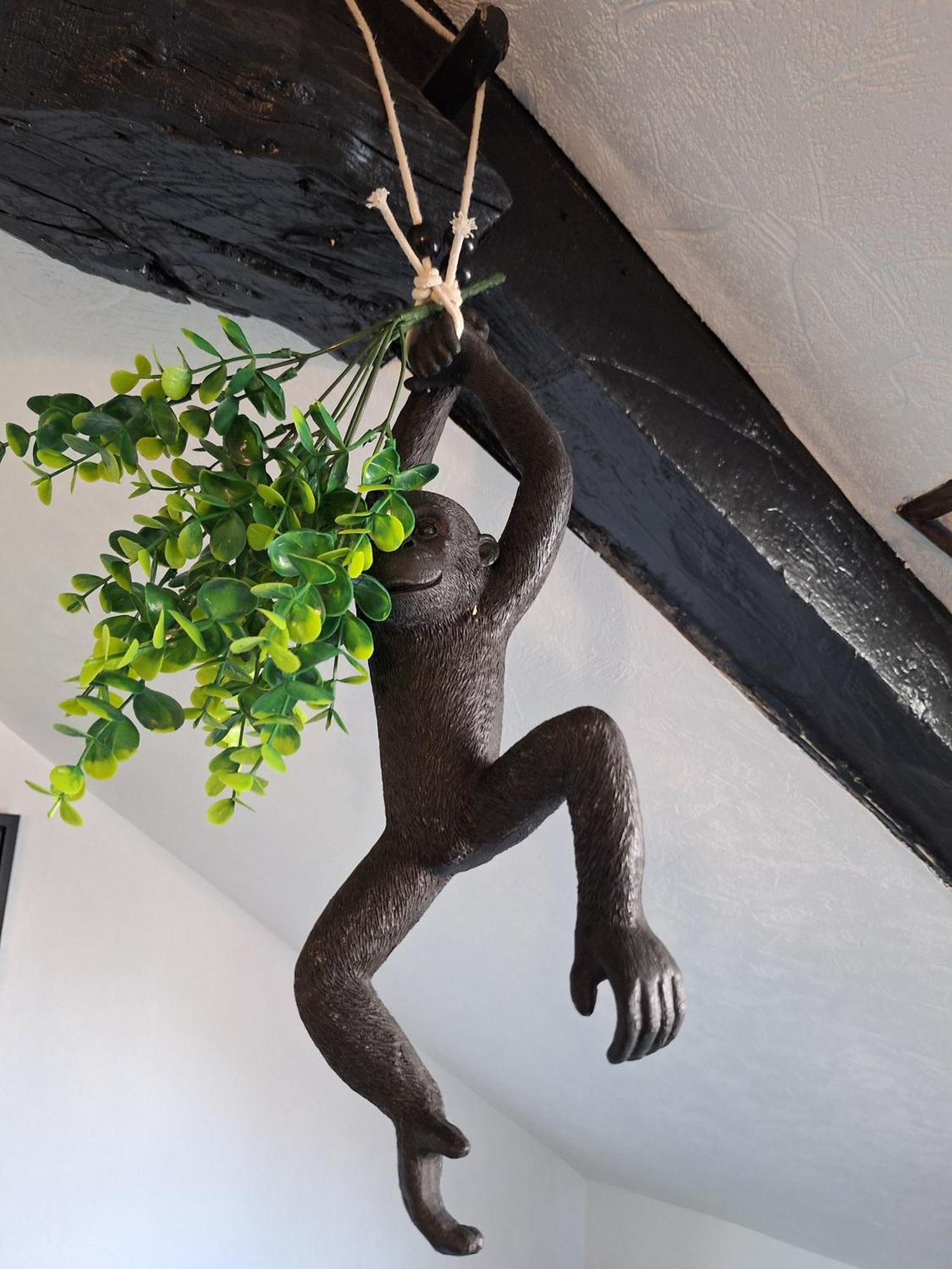 Ferienwohnung Jungle Cosy Louviers Exterior foto