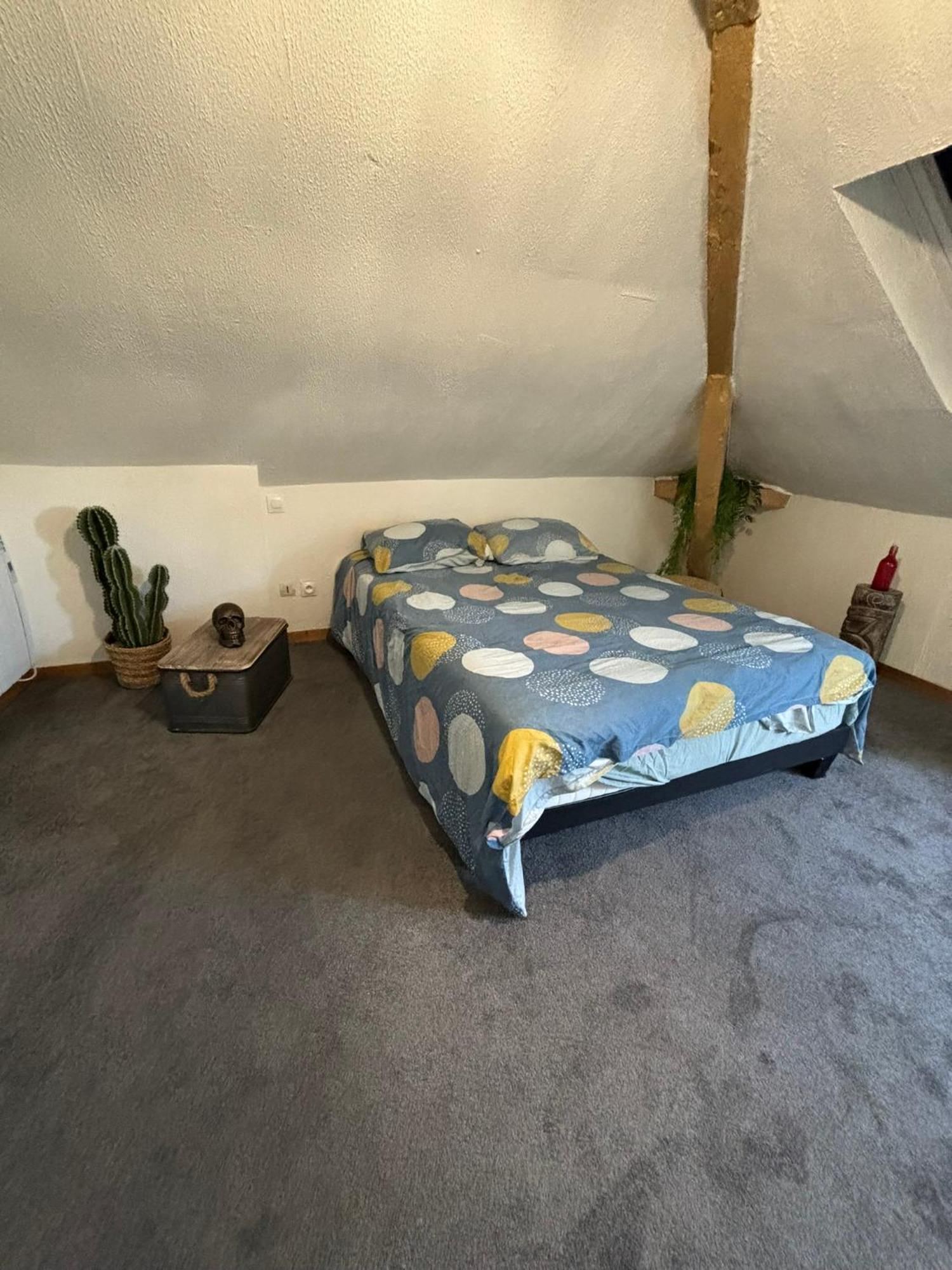Ferienwohnung Jungle Cosy Louviers Exterior foto